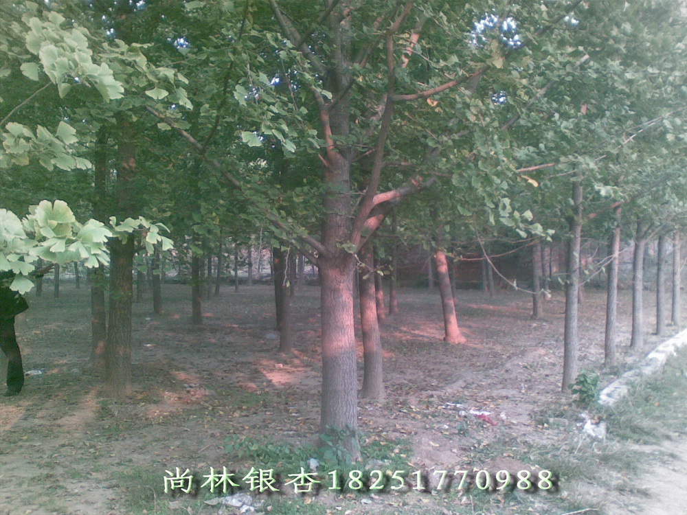 26yӘ yӘr9000-16000ԪyӘ,y,yӘr,yr,yӘr,yӘW